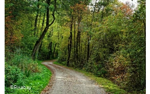 Wanderweg.jpg