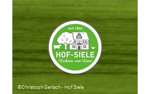 Logo Hof Siele.jpg