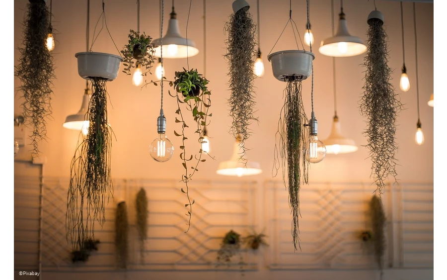 lights-1867437_1280.jpg