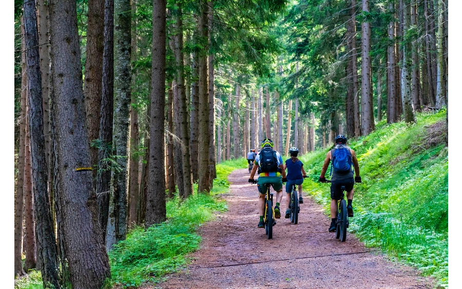 Radfahrer im Wald