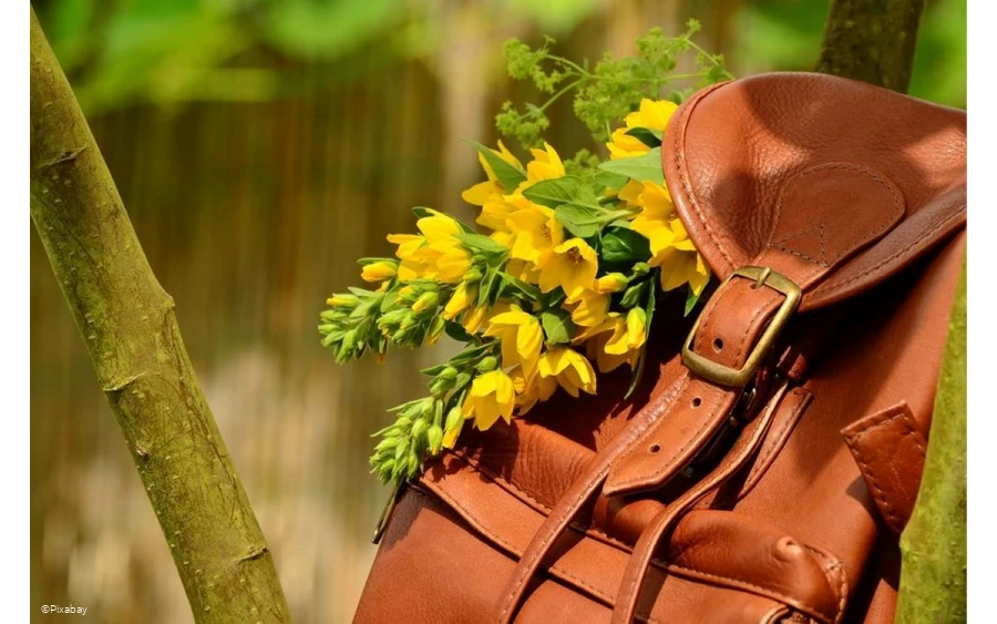 Ledertasche.jpg