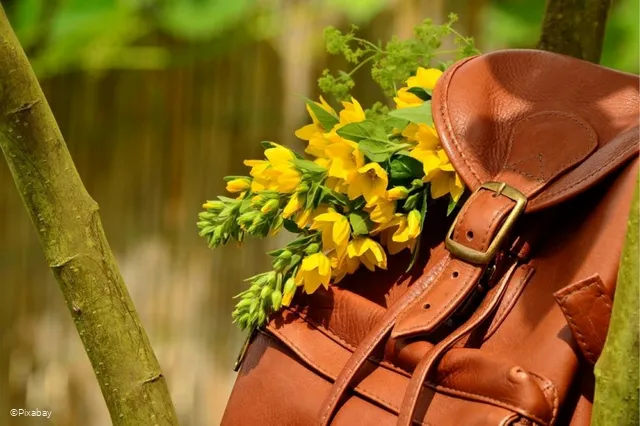 Ledertasche.jpg