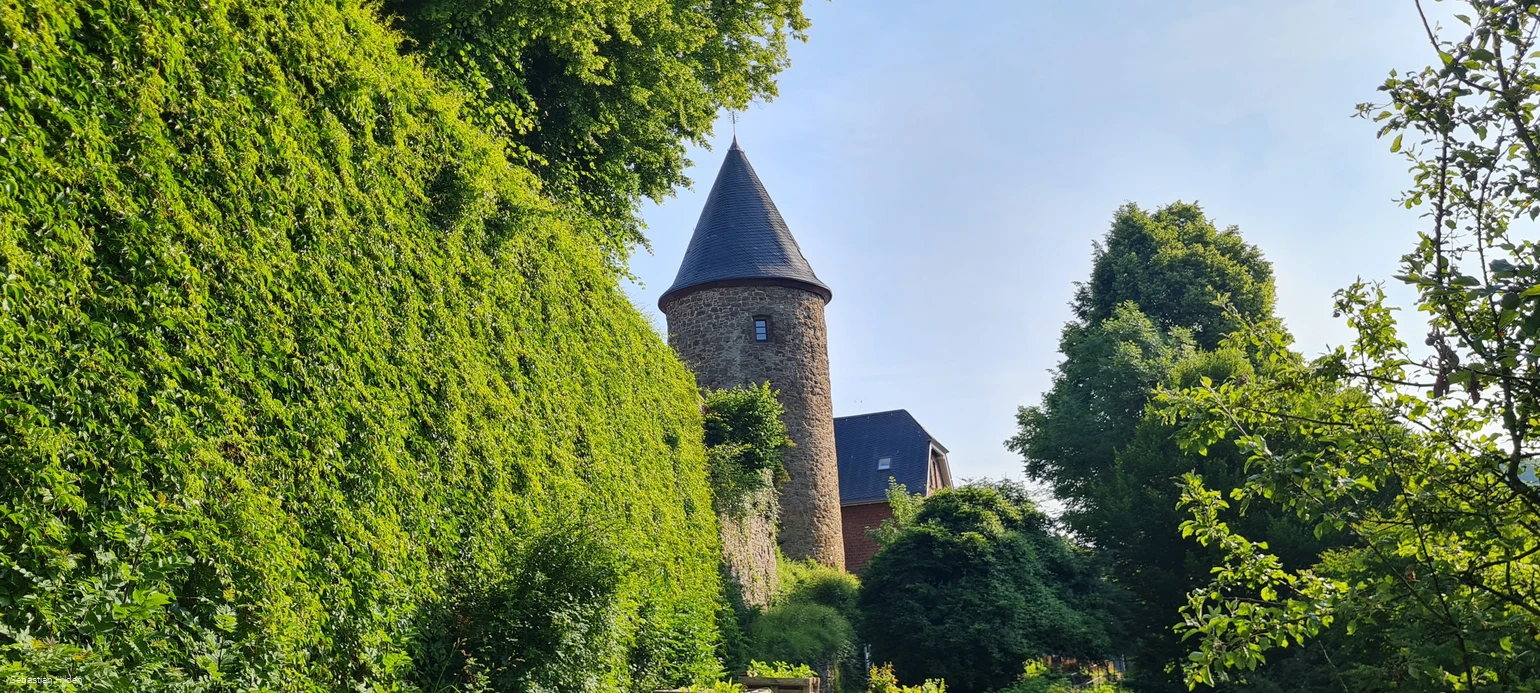Foto_Hexenturm-vom-Weierhohl.jpg