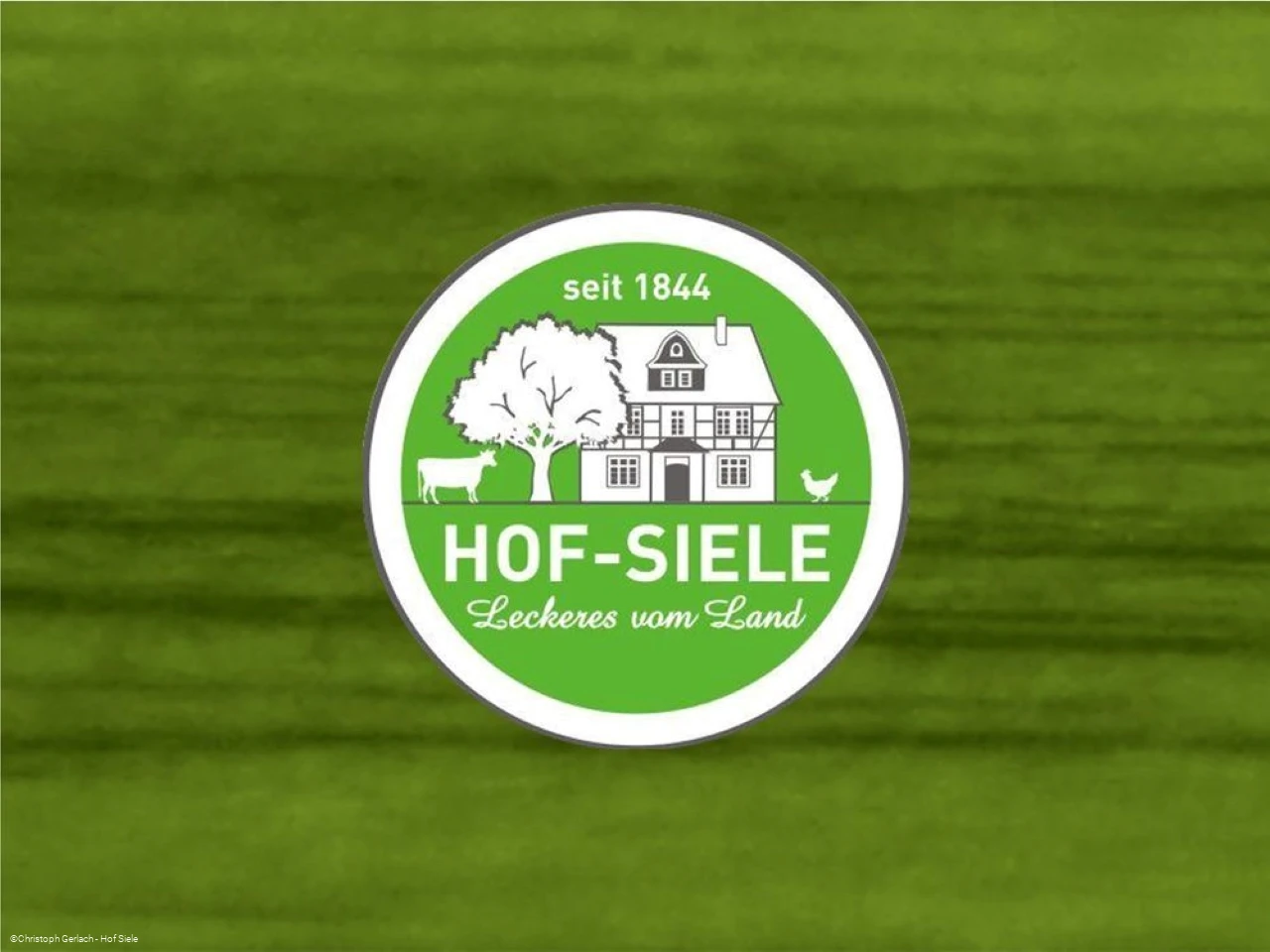 Logo Hof Siele.jpg