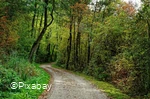 Wanderweg.jpg