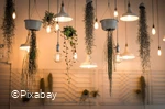 lights-1867437_1280.jpg