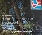 Radbröschüre_Teaser.jpg