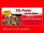 Werbung Foto Wurm.jpg